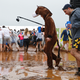 Illustration for article titled The Preakness Was A Foggy, Muddy, Wonderful Mess